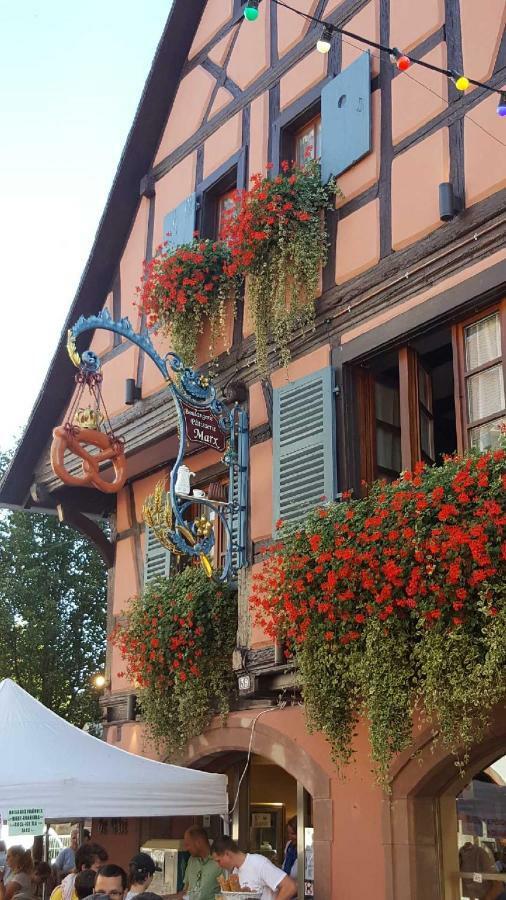 Appartement Fleur de Vigne à Eguisheim Extérieur photo