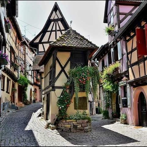 Appartement Fleur de Vigne à Eguisheim Extérieur photo