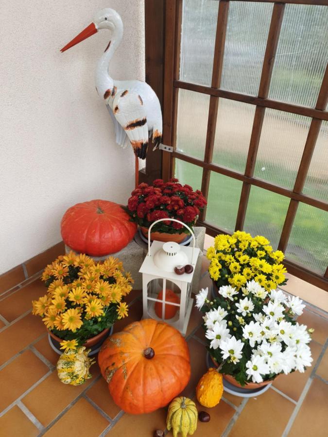 Appartement Fleur de Vigne à Eguisheim Extérieur photo